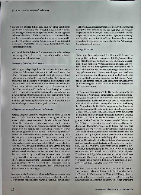 Vorschauseite 3: Schmerz - eine Herausforderung