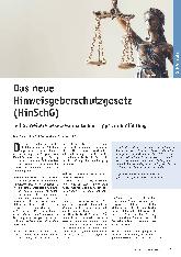 Vorschauseite 1: Das neue Hinweisgeberschutzgesetz (HinSchG) Teil 2: Weitere Gesetzesinhalte und Tipps zur Einführung