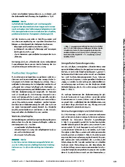 Vorschauseite 2: Abdominelle Notfallsonografie in der Intensiv- und Akutmedizin