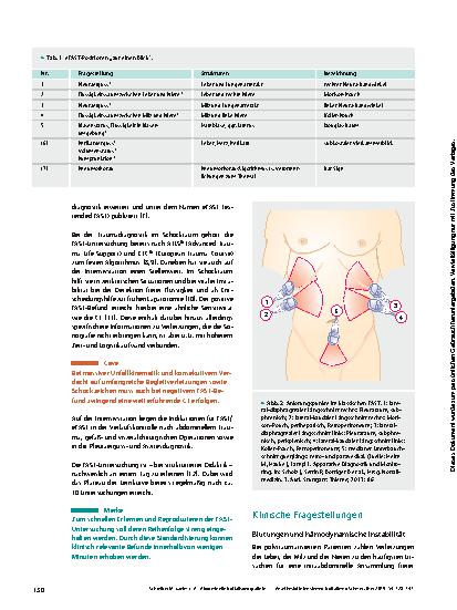 Vorschauseite 3: Abdominelle Notfallsonografie in der Intensiv- und Akutmedizin