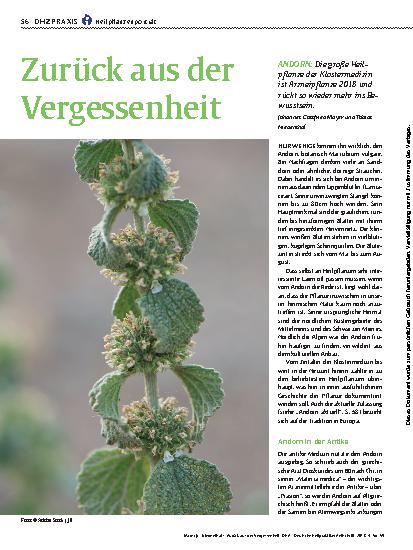 Vorschauseite 1: Zurück aus der Vergessenheit