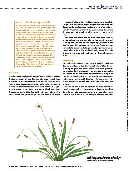 Vorschauseite 4: Tradition trifft aktuelles Wissen – Heilmittel für die Haut
