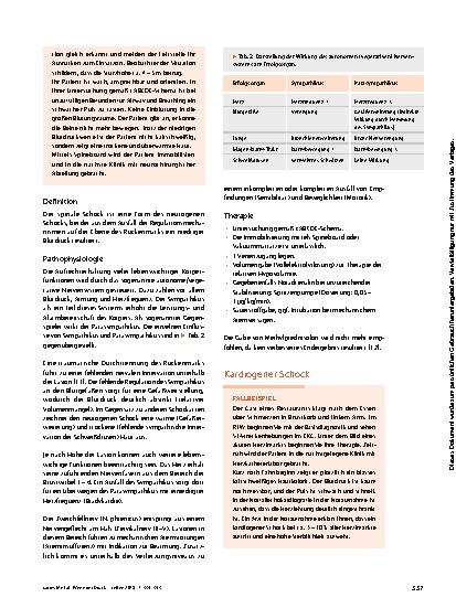Vorschauseite 4: Wenn der Druck raus ist – die verschiedenen Schockformen