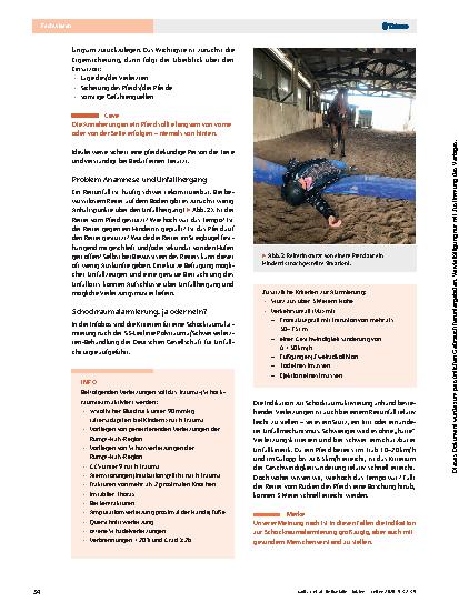 Vorschauseite 3: Reitunfälle – Fakten und Abläufe bei der Rettung