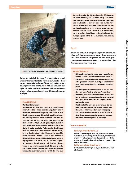 Vorschauseite 5: Reitunfälle – Fakten und Abläufe bei der Rettung