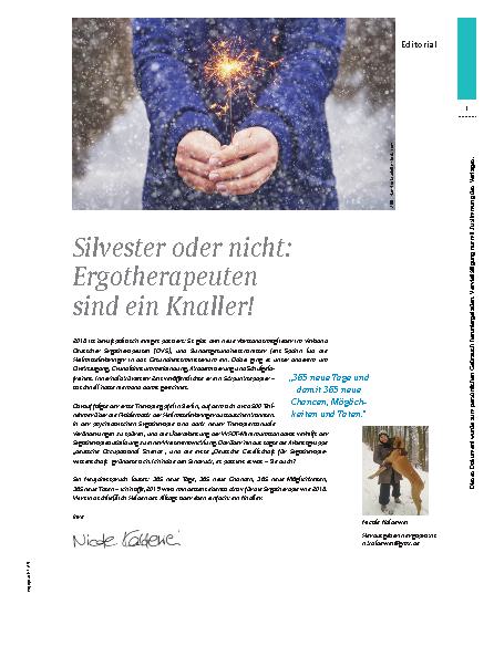 Vorschauseite 1: Silvester oder nicht: Ergotherapeuten sind ein Knaller!