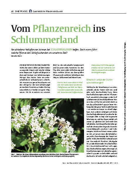 Vorschauseite 1: Vom Pflanzenreich ins Schlummerland