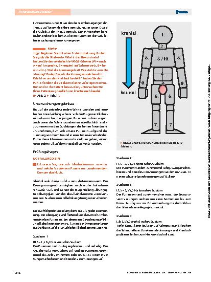 Vorschauseite 5: Alkoholintoxikation – Das sollten Sie wissen für die Ergänzungsprüfung