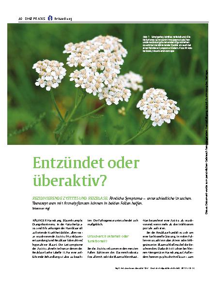 Vorschauseite 1: Entzündet oder überaktiv?