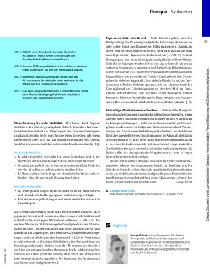 Vorschauseite 4: Après-Ski in der Handtherapie – Skidaumen