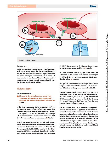 Vorschauseite 5: Hyperventilationssyndrom – Das sollten Sie wissen für die Ergänzungsprüfung