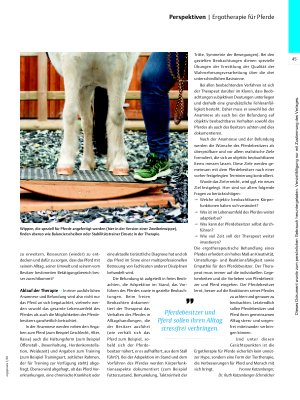 Vorschauseite 2: Möglichkeiten und Chancen – Ergotherapie für Pferde