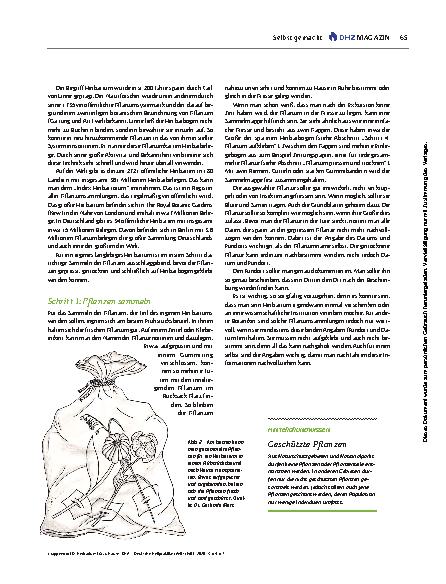 Vorschauseite 2: Herbarium für zu Hause
