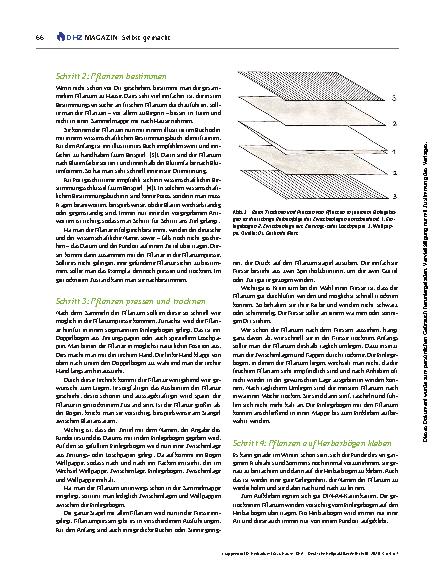 Vorschauseite 3: Herbarium für zu Hause