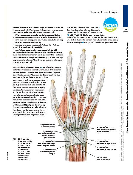 Vorschauseite 2: Sehnenscheide entlasten – Handtherapie bei Morbus de Quervain