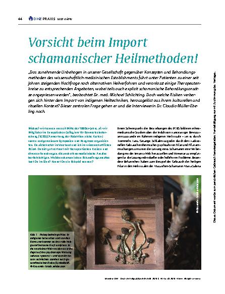 Vorschauseite 1: Vorsicht beim Import schamanischer Heilmethoden!