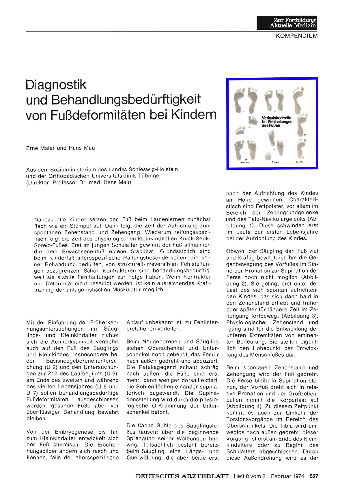 Vorschauseite 1: Diagnostik und Behandlungsbedürftigkeit von Fußdeformitäten bei Kindern
