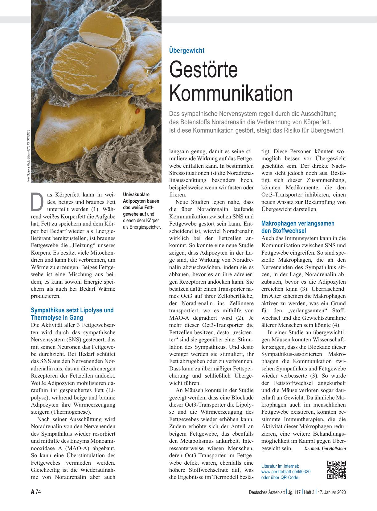 Vorschauseite 1: Übergewicht: Gestörte Kommunikation