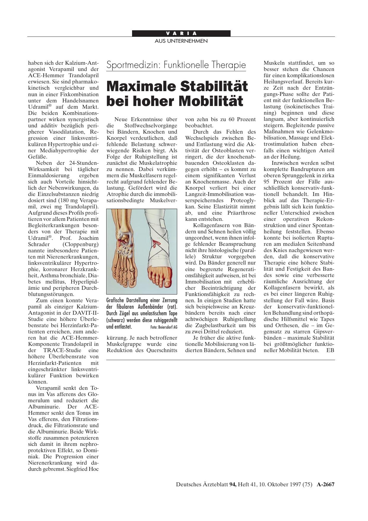 Vorschauseite 1: Sportmedizin – Funktionelle Therapie: Maximale Stabilität bei hoher Mobilität