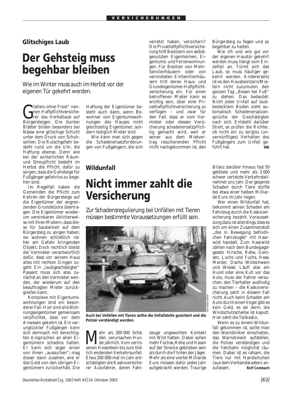 Vorschauseite 1: Glitschiges Laub: Der Gehsteig muss begehbar bleiben