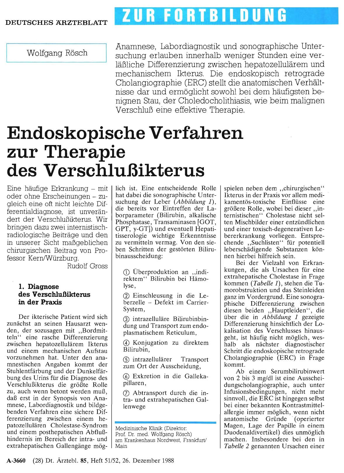 Vorschauseite 1: Endoskopische Verfahren zur Therapie des Verschlußikterus