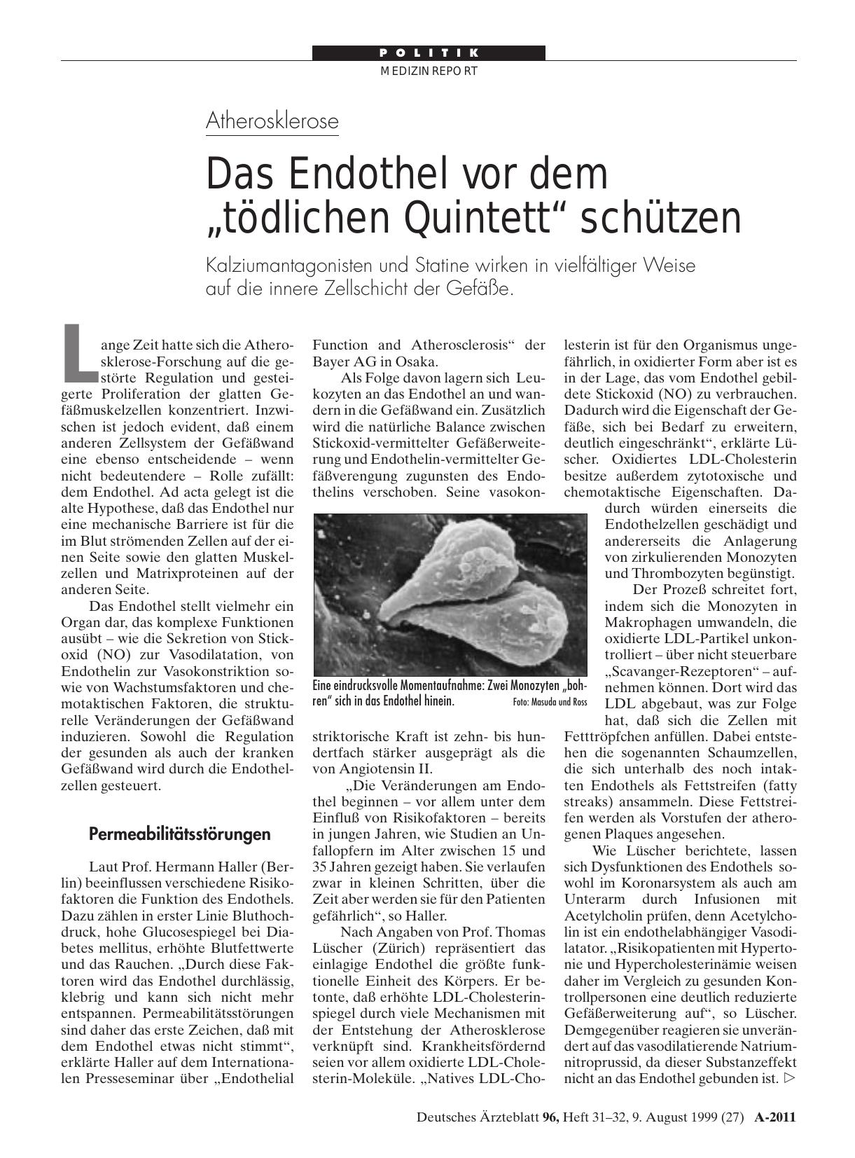 Vorschauseite 1: Atherosklerose: Das Endothel vor dem „tödlichen Quintett“ schützen