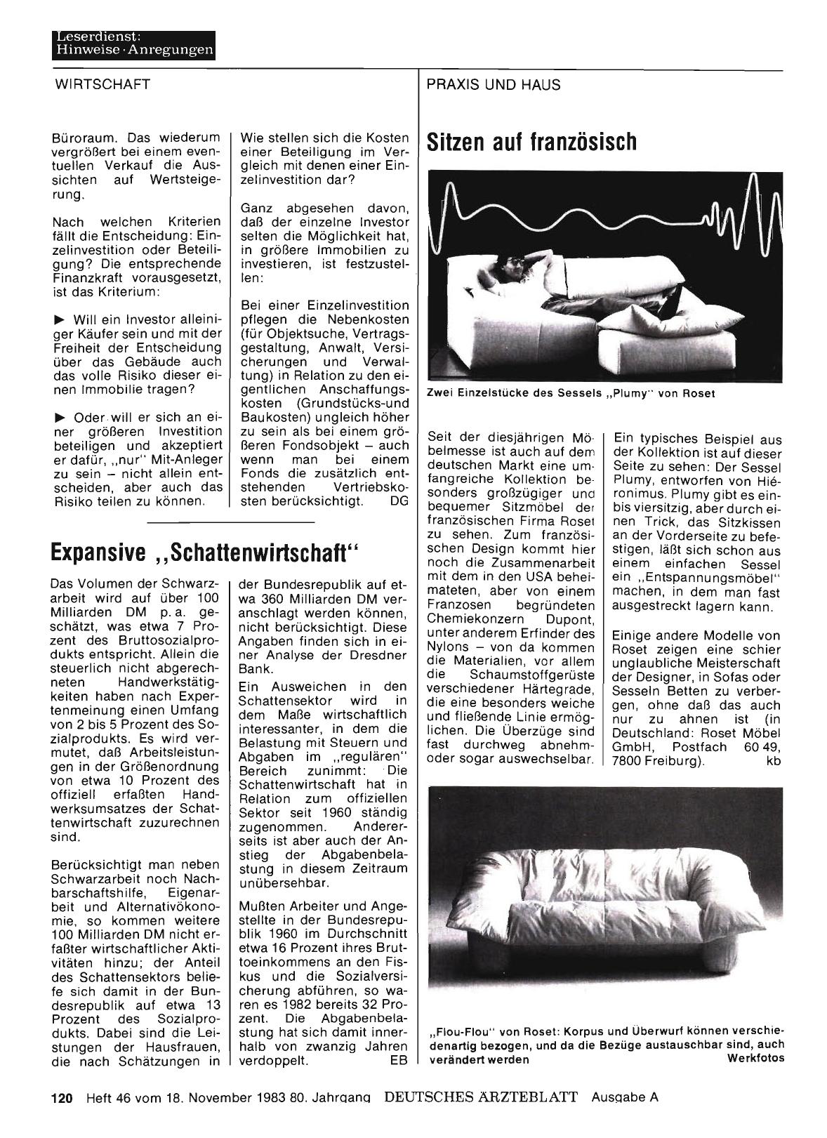 Vorschauseite 1: Expansive, ,Schattenwirtschaft“