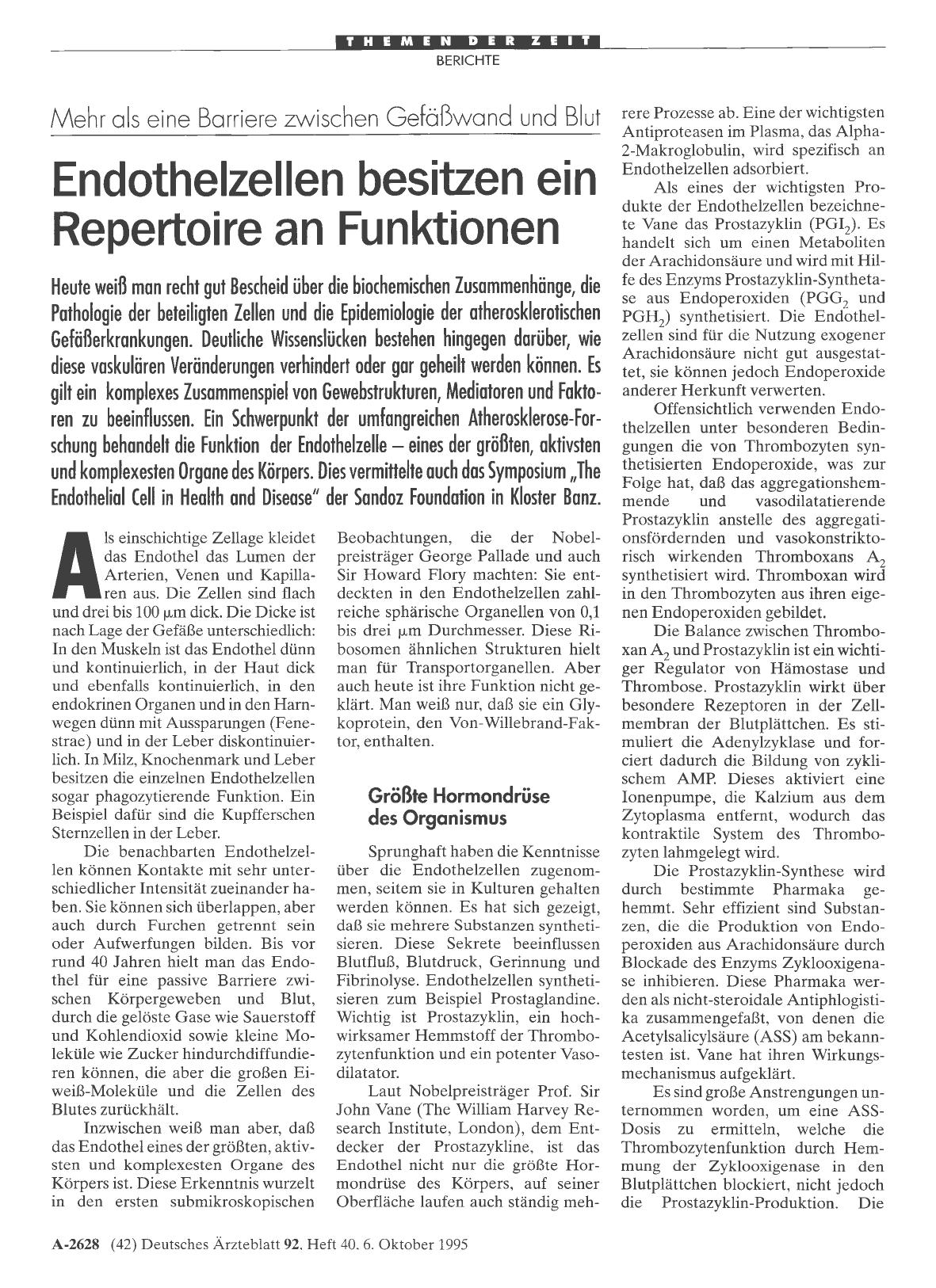 Vorschauseite 1: Mehr als eine Barriere zwischen Gefäßwand und Blut: Endothelzellen besitzen ein Repertoire an Funktionen