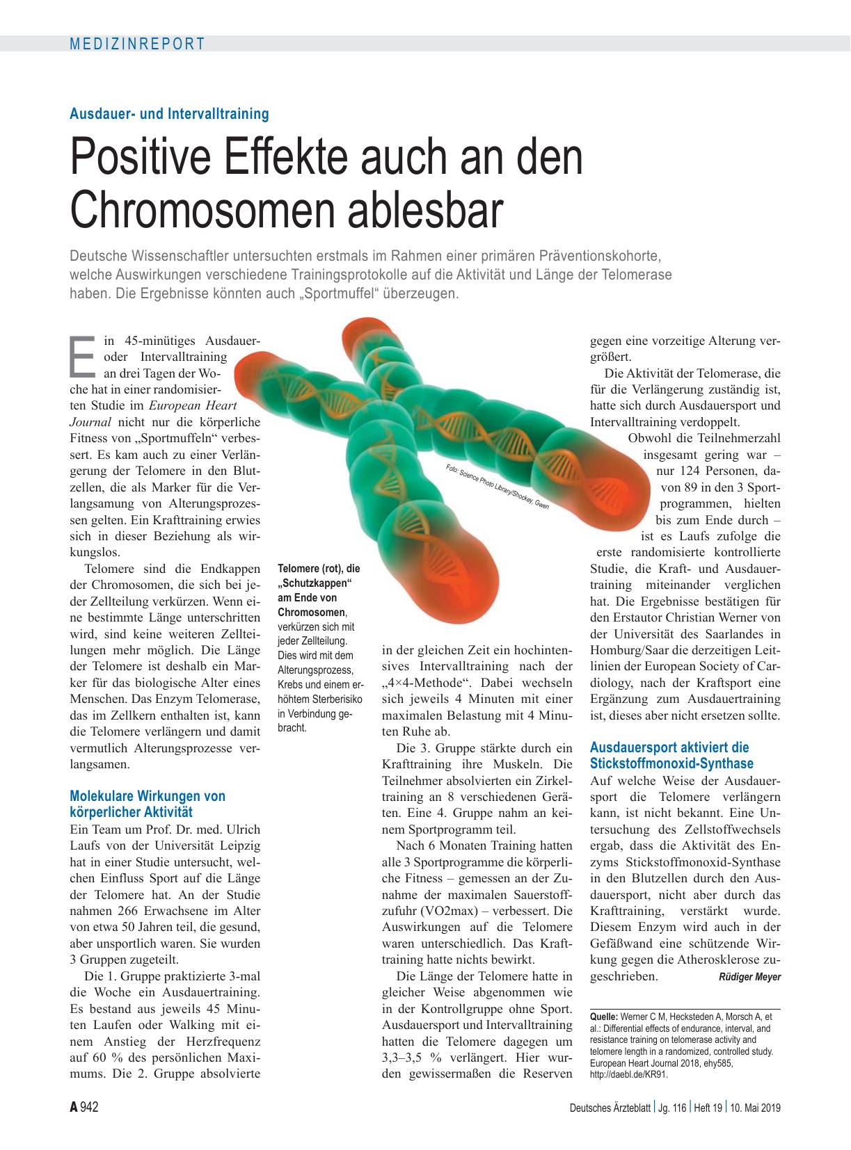 Vorschauseite 1: Ausdauerund Intervalltraining: Positive Effekte auch an den Chromosomen ablesbar