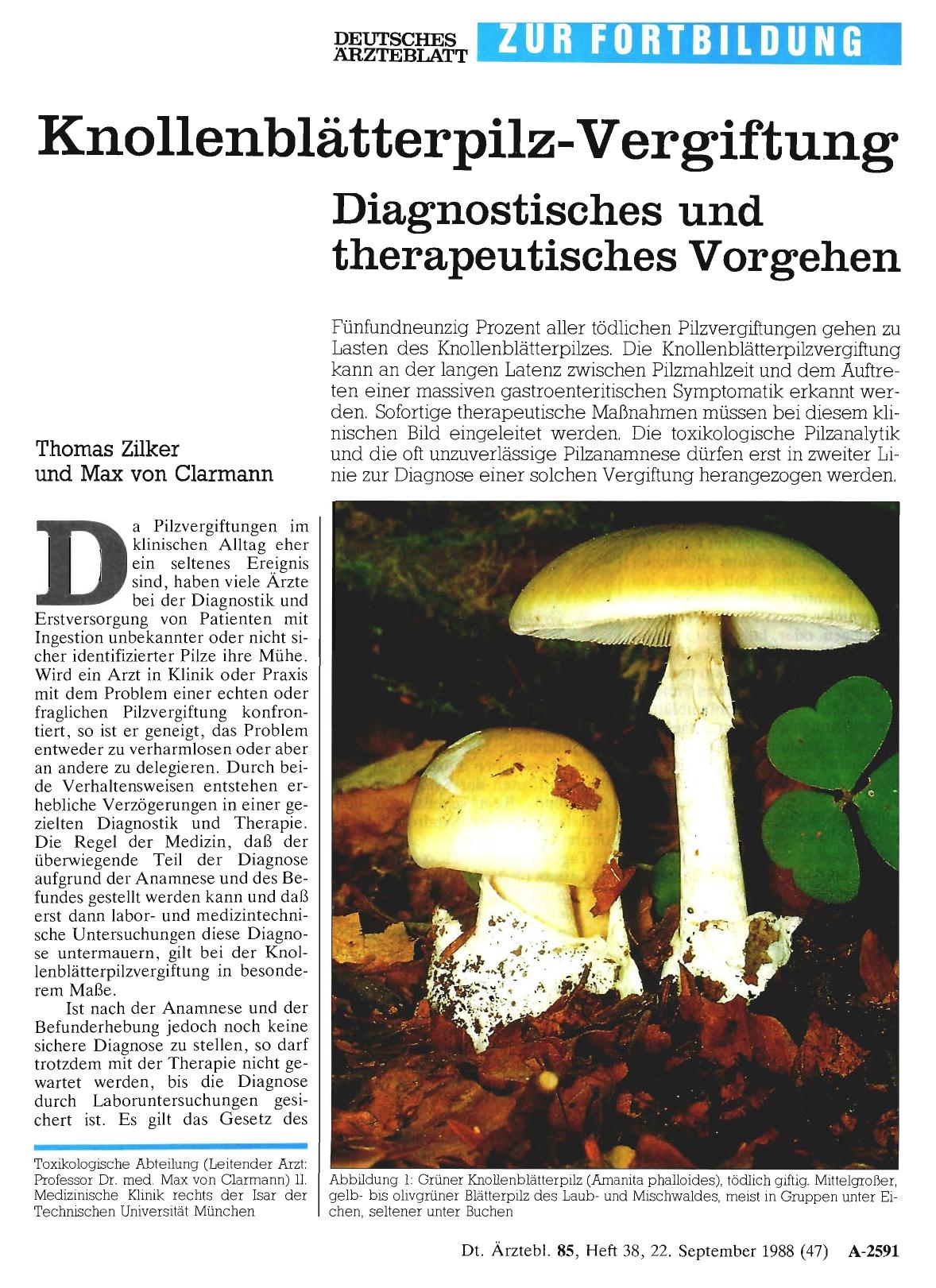 Vorschauseite 1: Knollenblätterpilz-Vergiftung Diagnostisches und therapeutisches Vorgehen