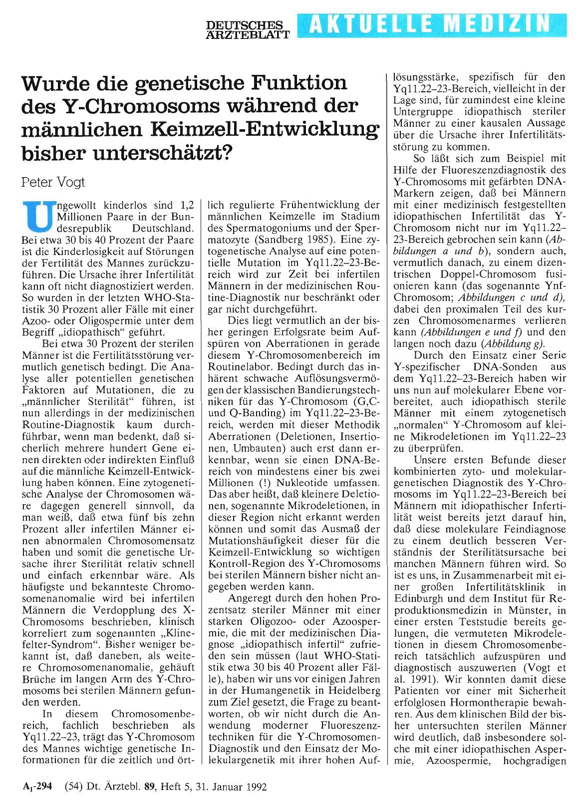 Vorschauseite 1: Wurde die genetische Funktion des Y-Chromosoms während der männlichen Keimzell-Entwicklung bisher unterschätzt?