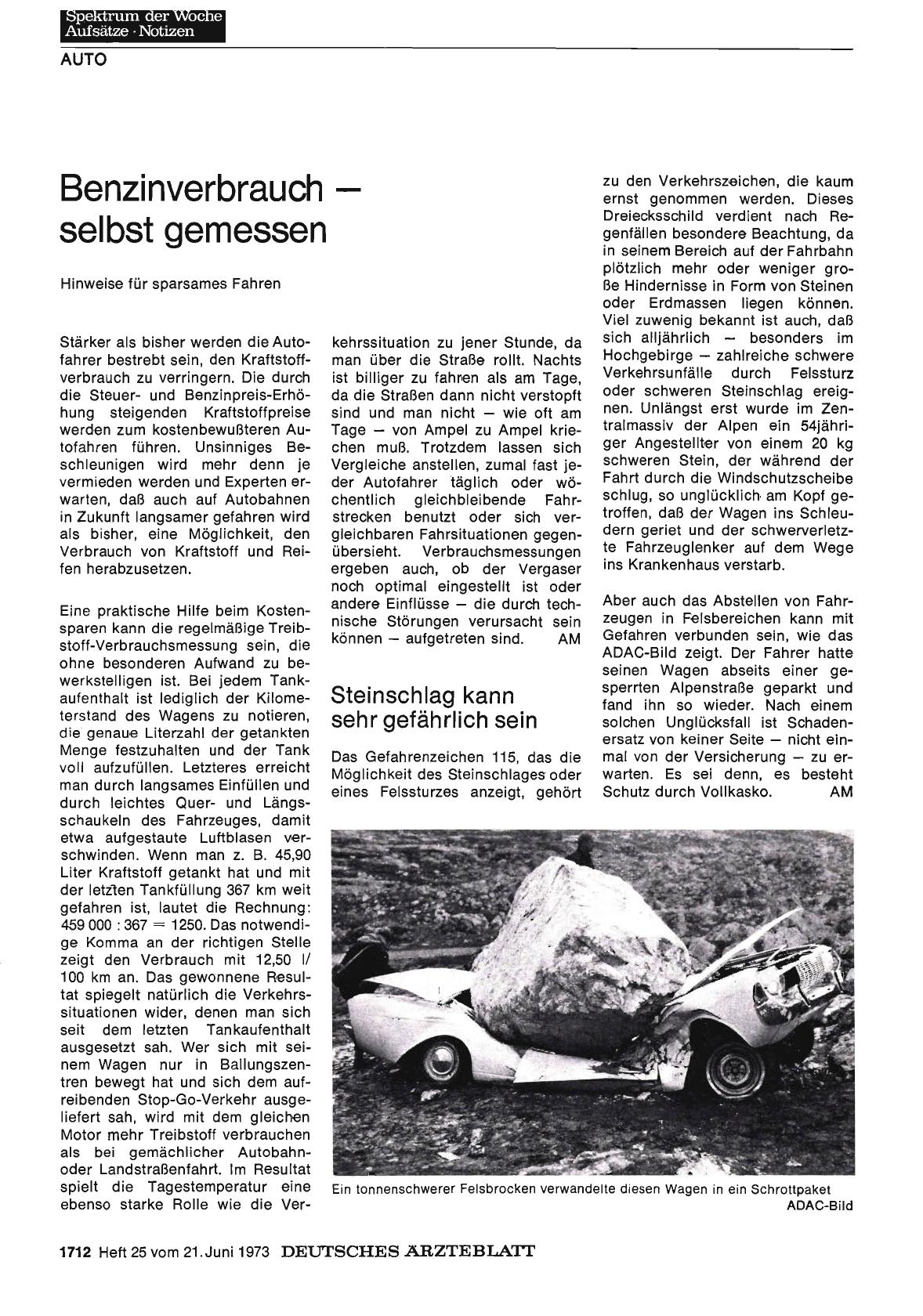 Vorschauseite 1: Benzinverbrauch— selbst gemessen