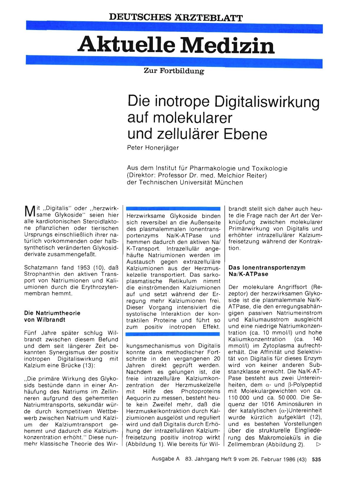 Vorschauseite 1: Die inotrope Digitaliswirkung auf molekularer und zellulärer Ebene