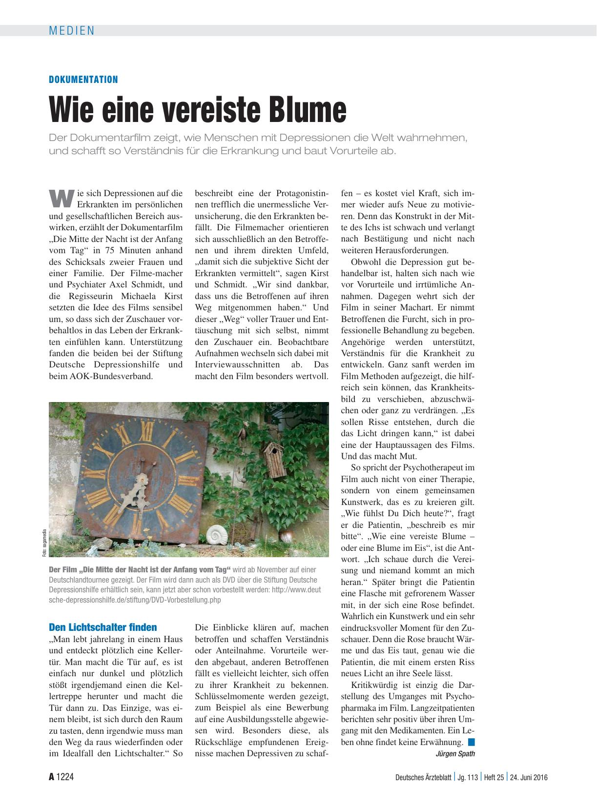 Vorschauseite 1: Dokumentation: Wie eine vereiste Blume
