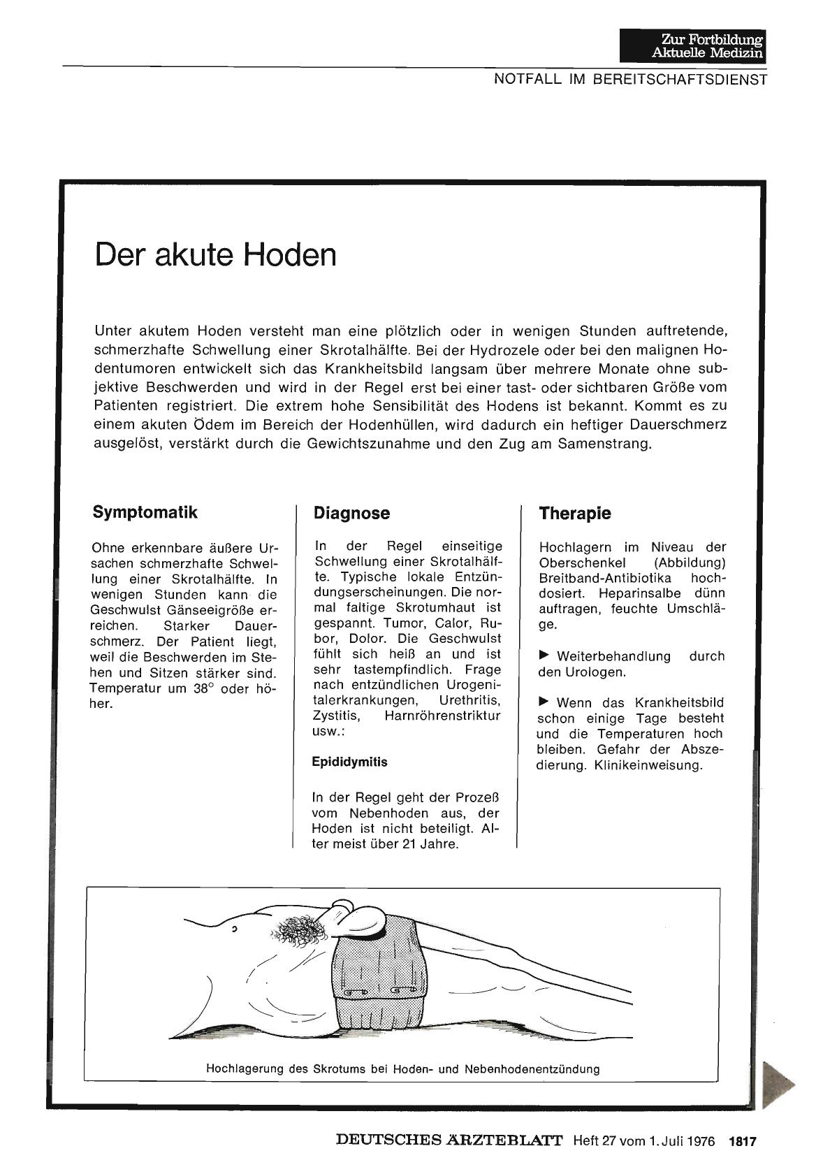 Vorschauseite 1: Der akute Hoden