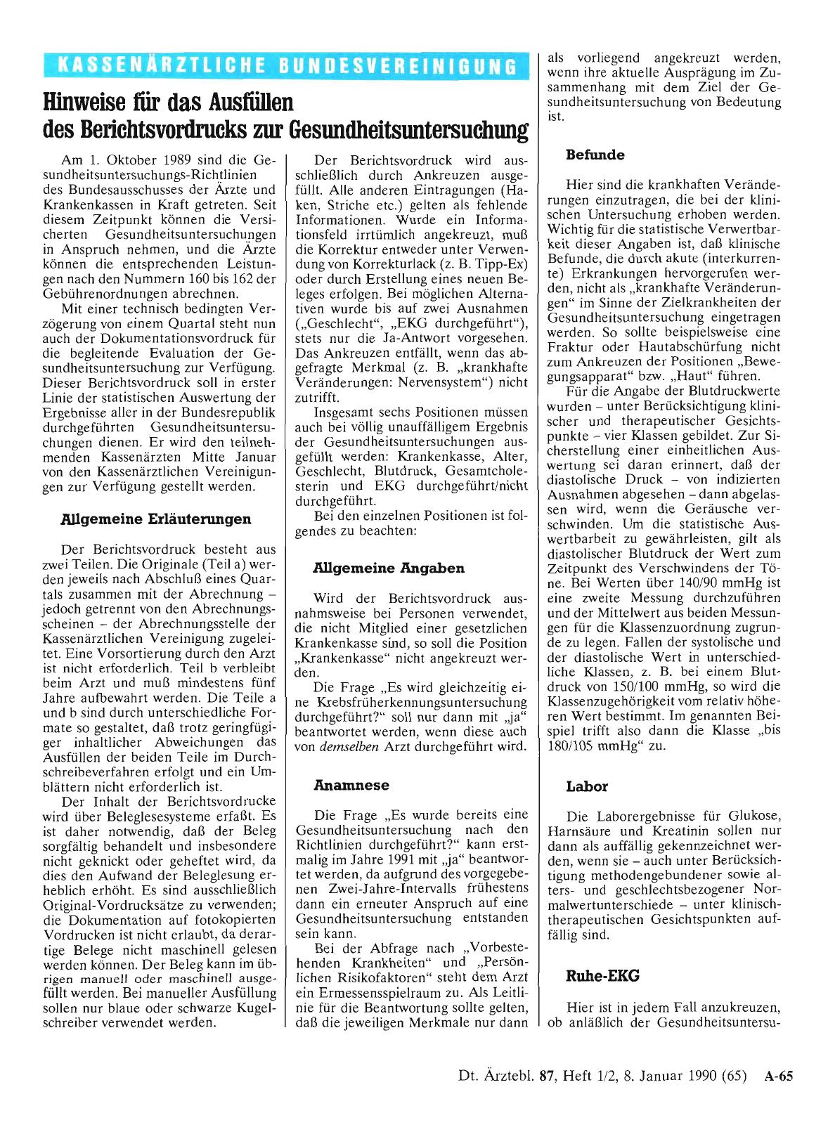 Vorschauseite 1: Hinweise für das Ausfüllen des Berichtsvordrucks zur Gesundheitsuntersuchung