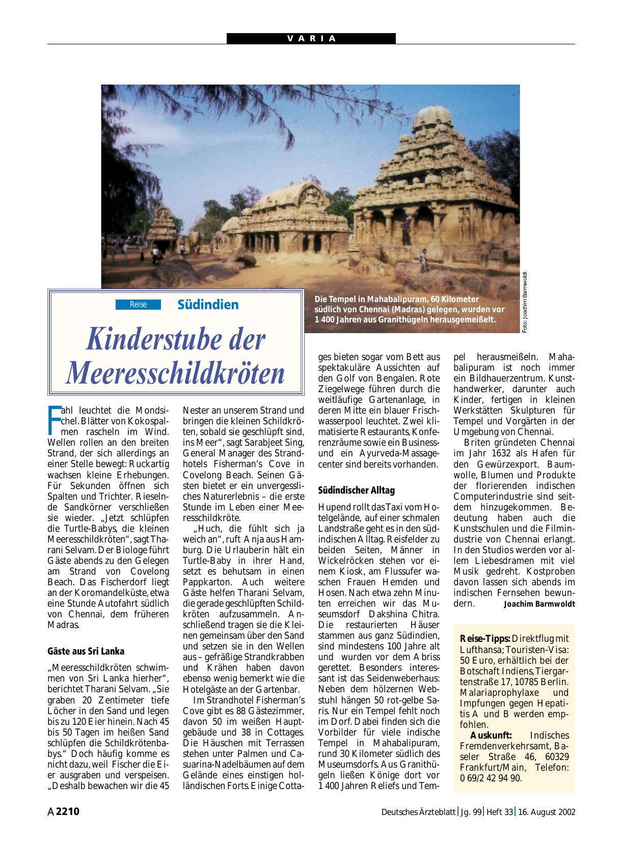 Vorschauseite 1: Südindien: Kinderstube der Meeresschildkröten