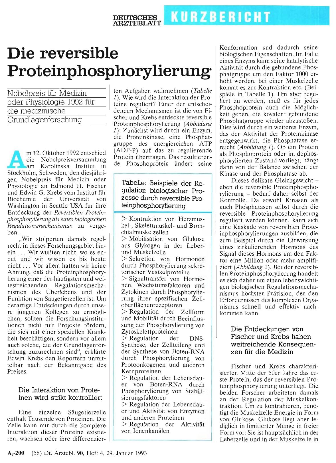 Vorschauseite 1: Die reversible Proteinphosphorylierung: Nobelpreis für Medizin oder Physiologie 1992 für die medizinische Grundlagenforschung