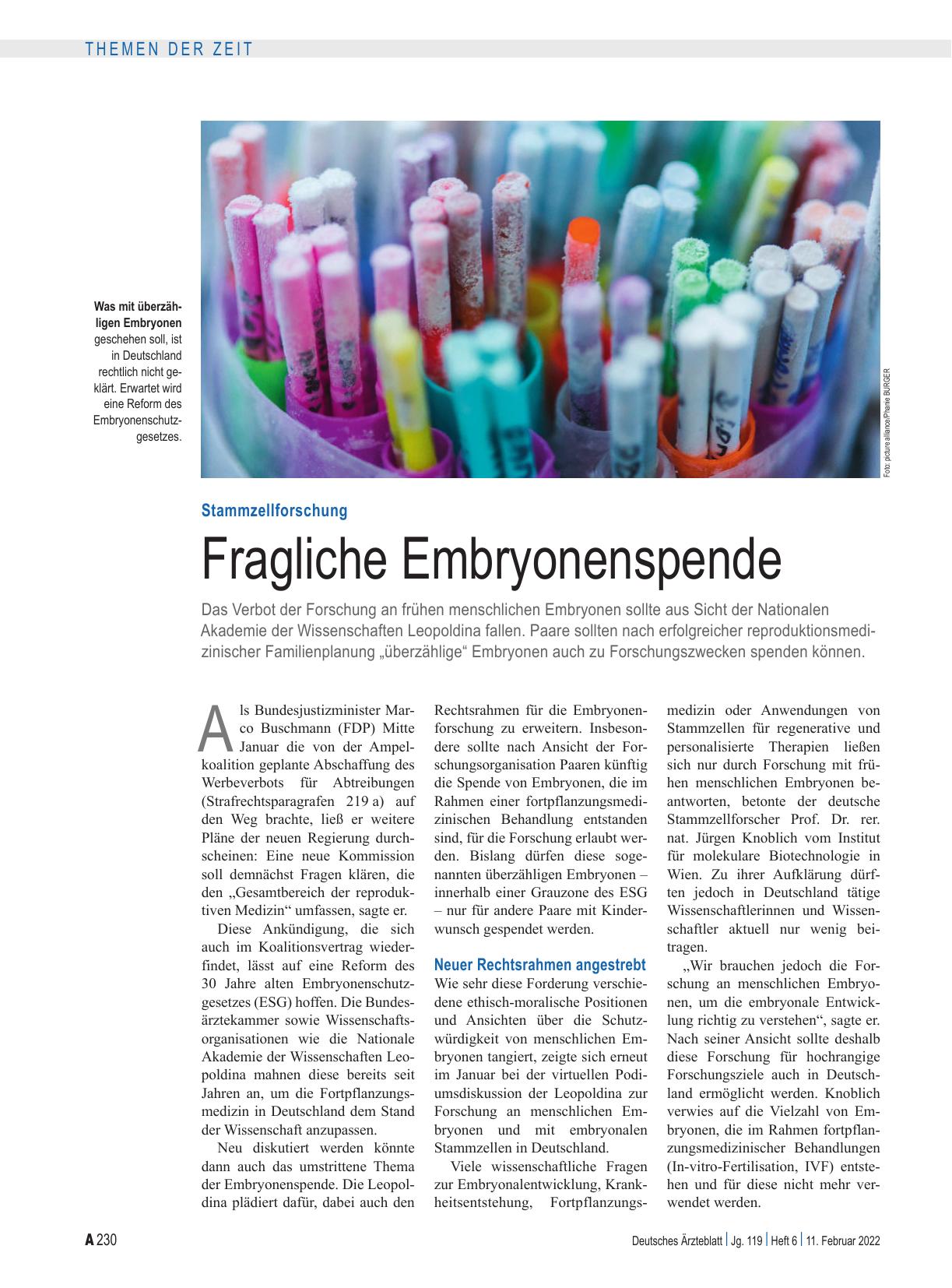 Vorschauseite 1: Stammzellforschung: Fragliche Embryonenspende