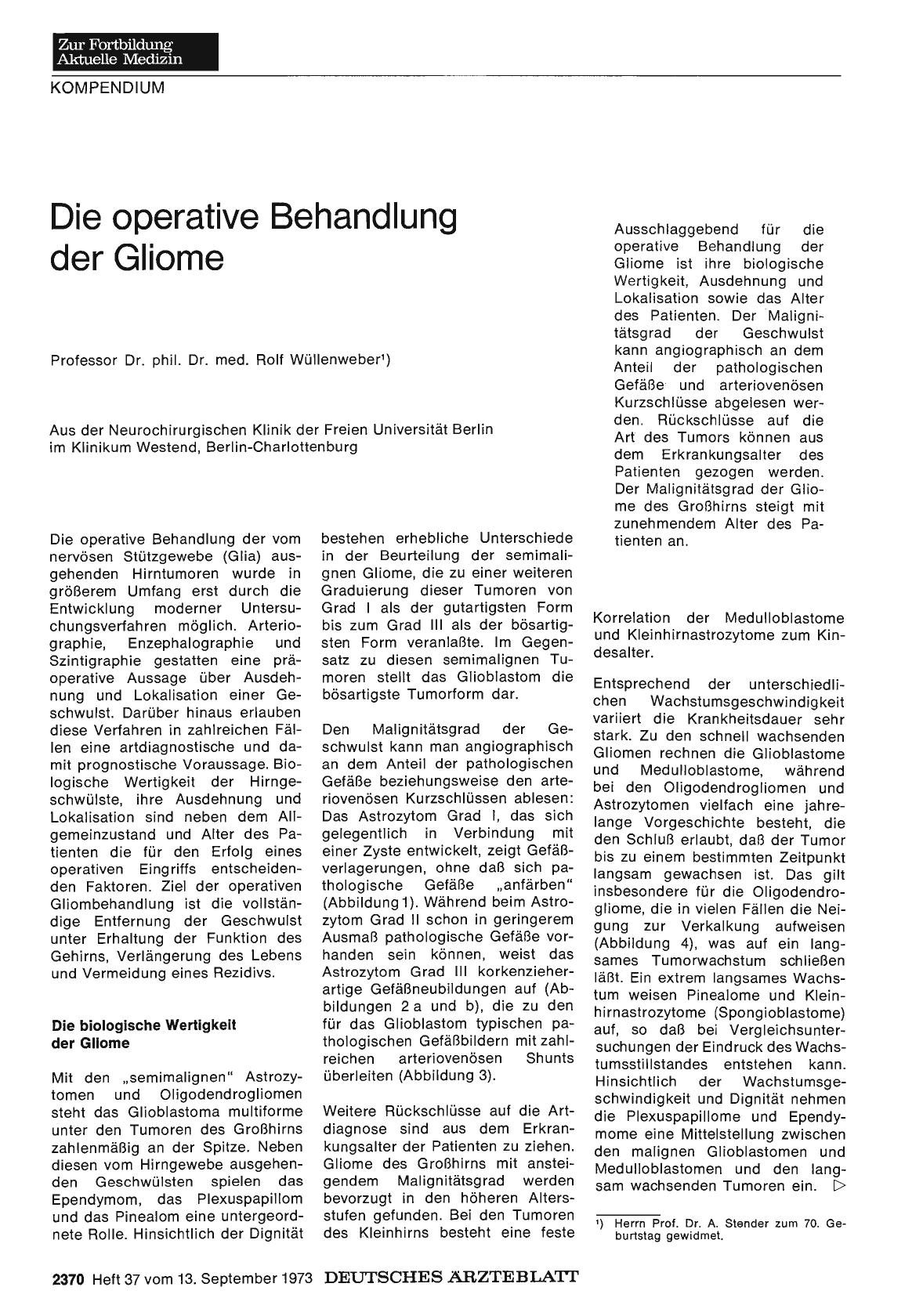 Vorschauseite 1: Die operative Behandlung der Gliome