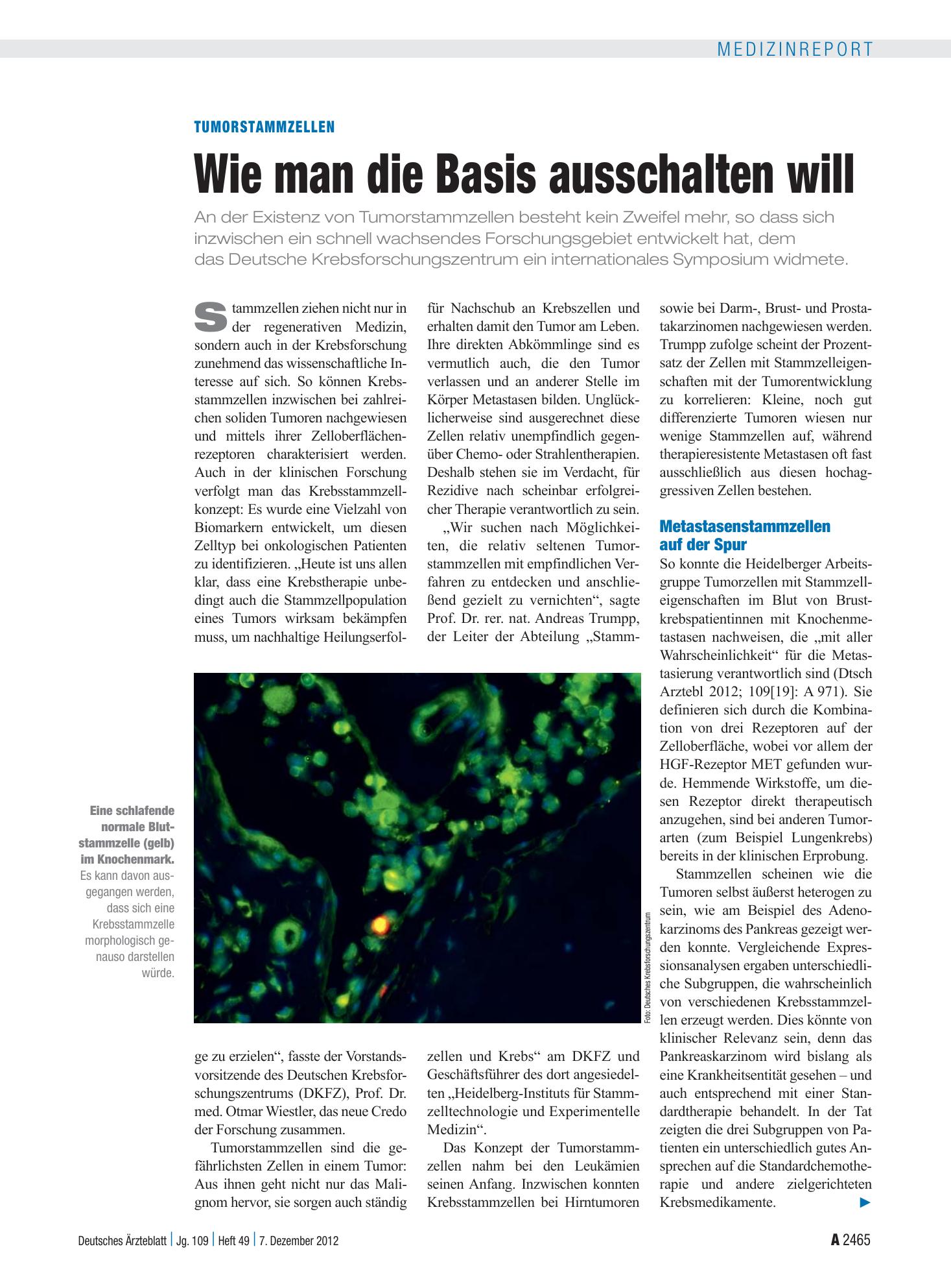 Vorschauseite 1: Tumorstammzellen: Wie man die Basis ausschalten will – Deutsches Ärzteblatt