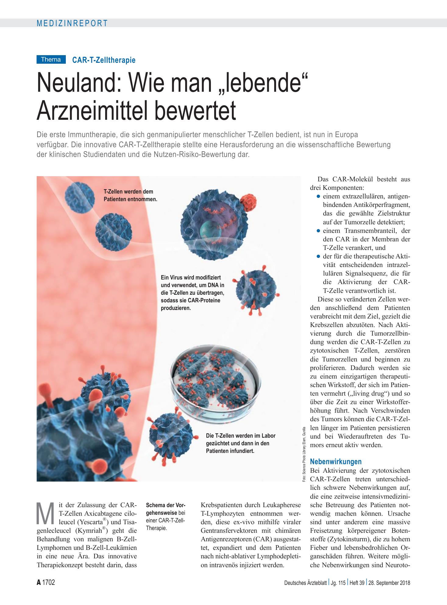 Vorschauseite 1: CAR-T-Zelltherapie: Neuland: Wie man „lebende“ Arzneimittel bewertet – Deutsches Ärzteblatt