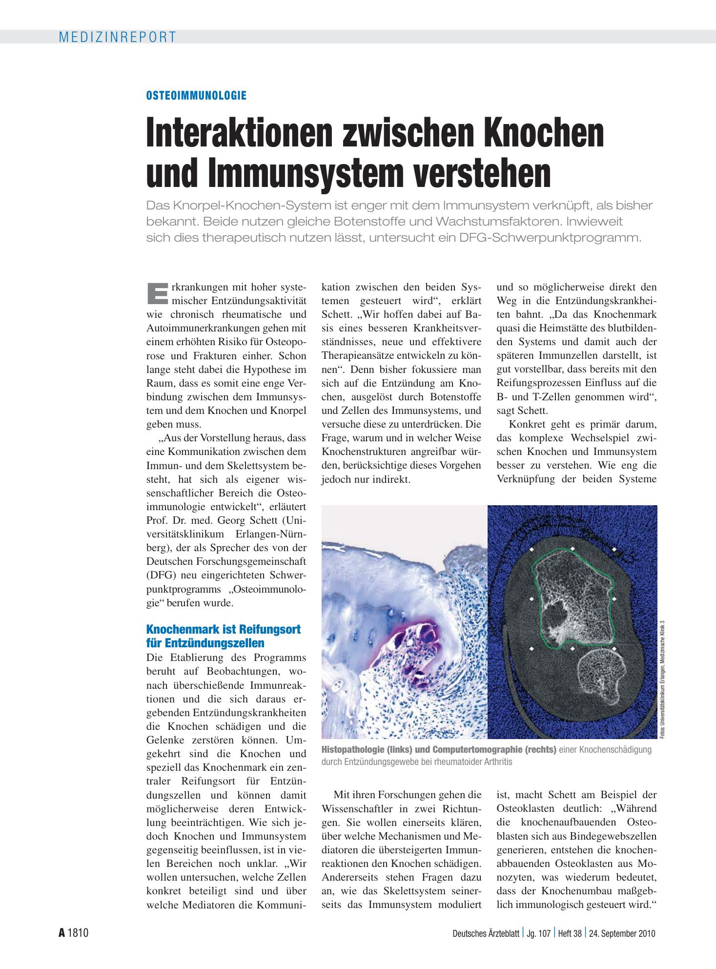 Vorschauseite 1: Osteoimmunologie: Interaktionen zwischen Knochen und Immunsystem verstehen – Deutsches Ärzteblatt