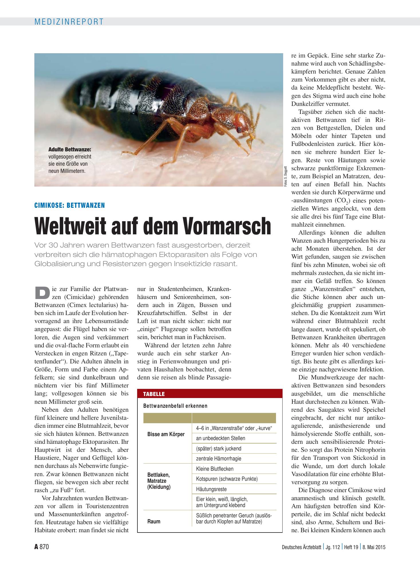 Vorschauseite 1: Cimikose: Bettwanzen – Weltweit auf dem Vormarsch – Deutsches Ärzteblatt
