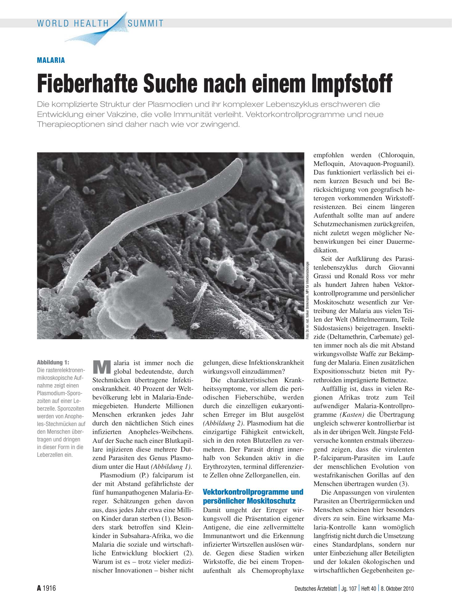 Vorschauseite 1: Malaria: Fieberhafte Suche nach einem Impfstoff – Deutsches Ärzteblatt