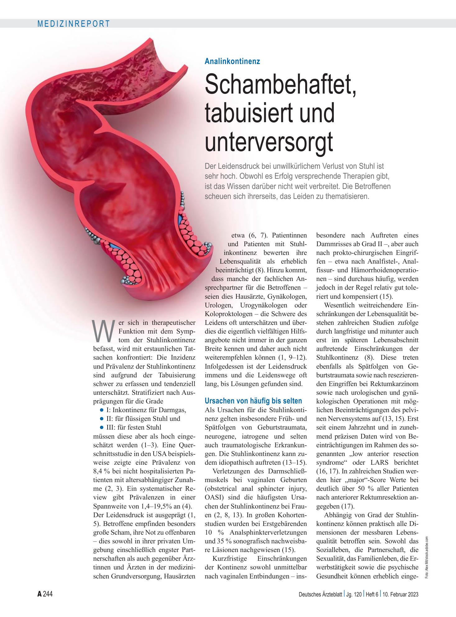 Vorschauseite 1: Analinkontinenz: Schambehaftet, tabuisiert und unterversorgt – Deutsches Ärzteblatt