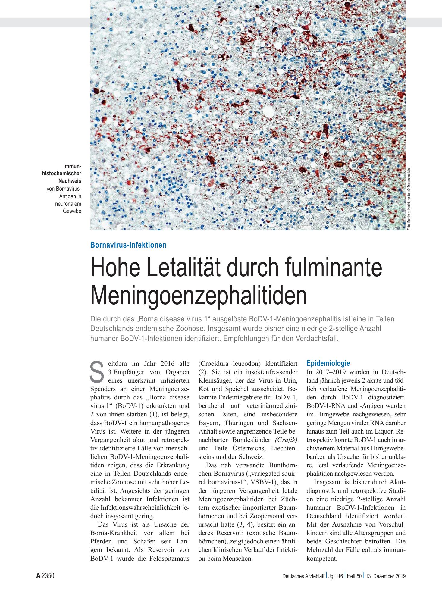 Vorschauseite 1: Bornavirus-Infektionen: Hohe Letalität durch fulminante Meningoenzephalitiden – Deutsches Ärzteblatt