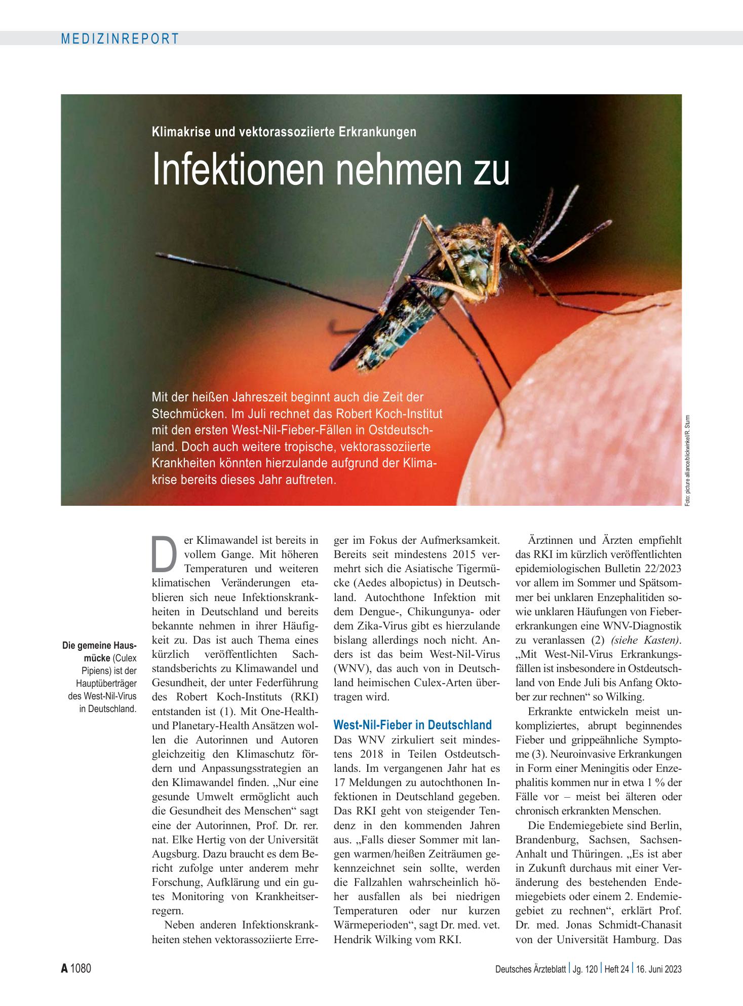 Vorschauseite 1: Klimakrise und vektorassoziierte Erkrankungen: Infektionen nehmen zu – Deutsches Ärzteblatt