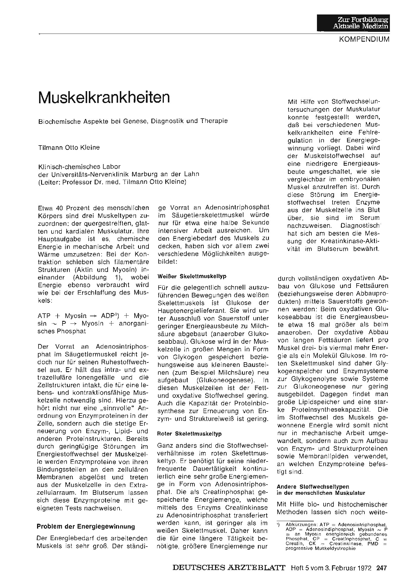 Vorschauseite 1: Muskelkrankheiten: Biochemische Aspekte bei Genese, Diagnostik und Therapie