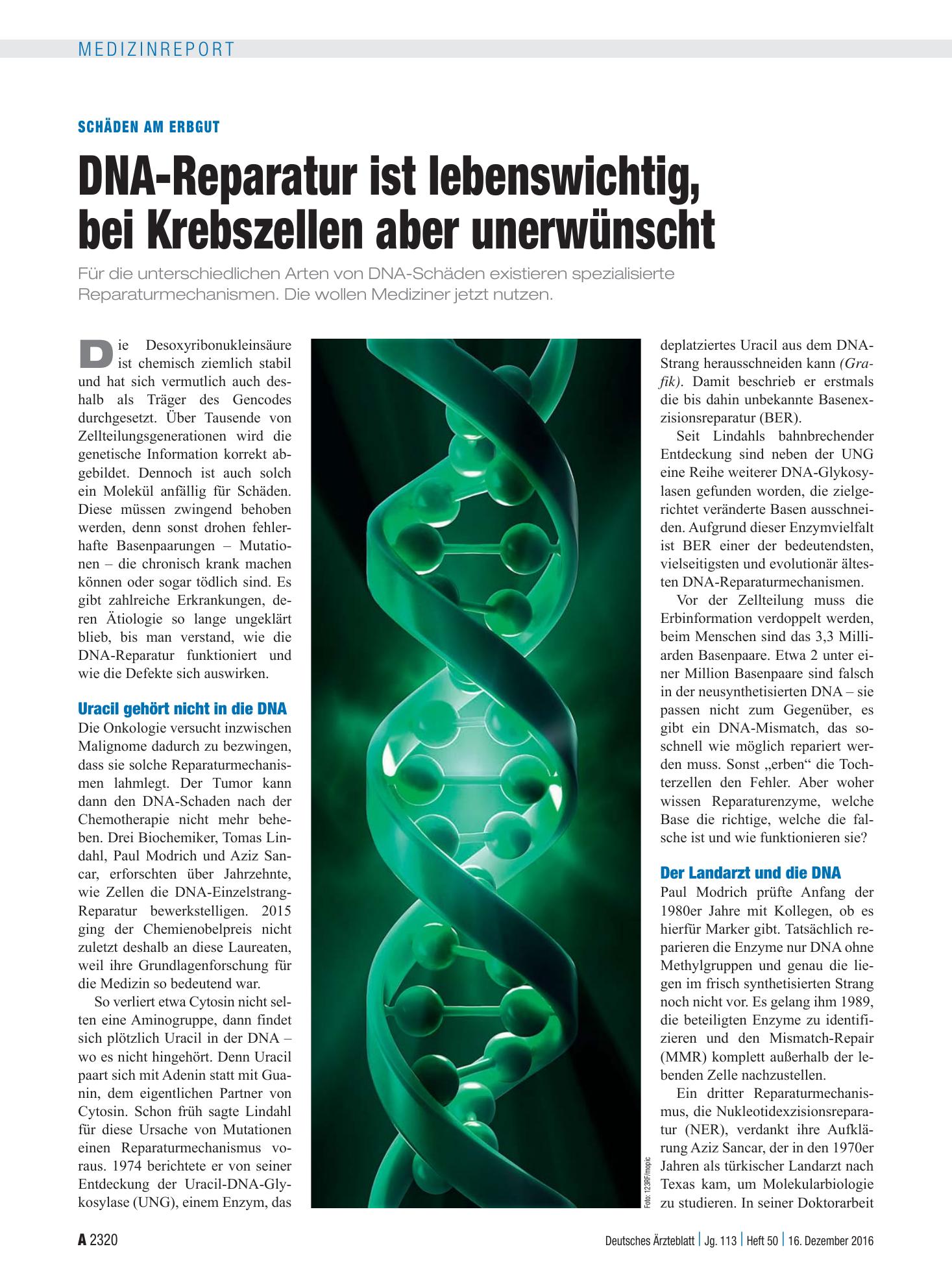 Vorschauseite 1: Schäden am Erbgut: DNA-Reparatur ist lebenswichtig, bei Krebszellen aber unerwünscht – Deutsches Ärzteblatt